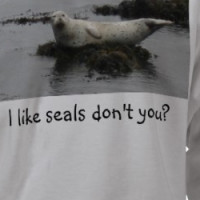 I like seals don't you? T-shirt