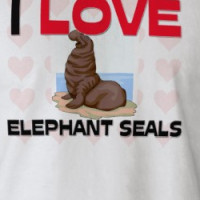 I Love Elephant Seals T-shirt